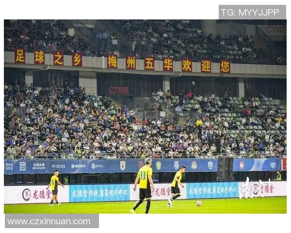 足球明星菲萝的精彩瞬间与赛场风采全景展示