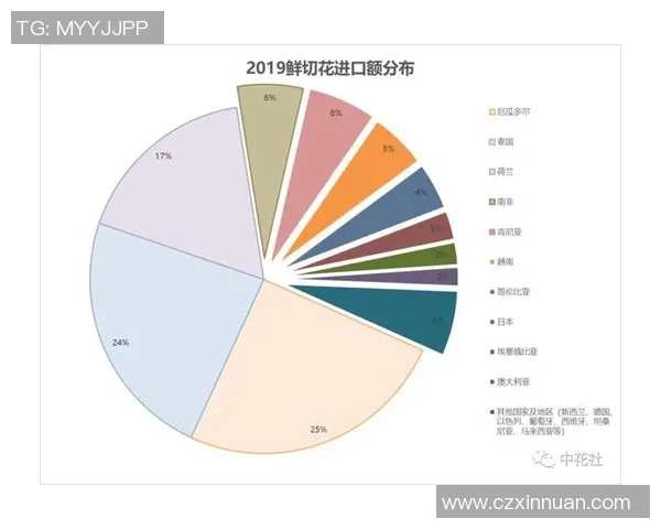 独家分析：南京网球队的状态对比